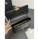 CHANEL AP5011 LADY'S BAG