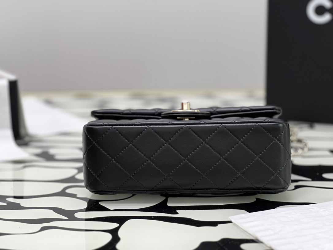 CHANEL AP99257 LADY'S BAG