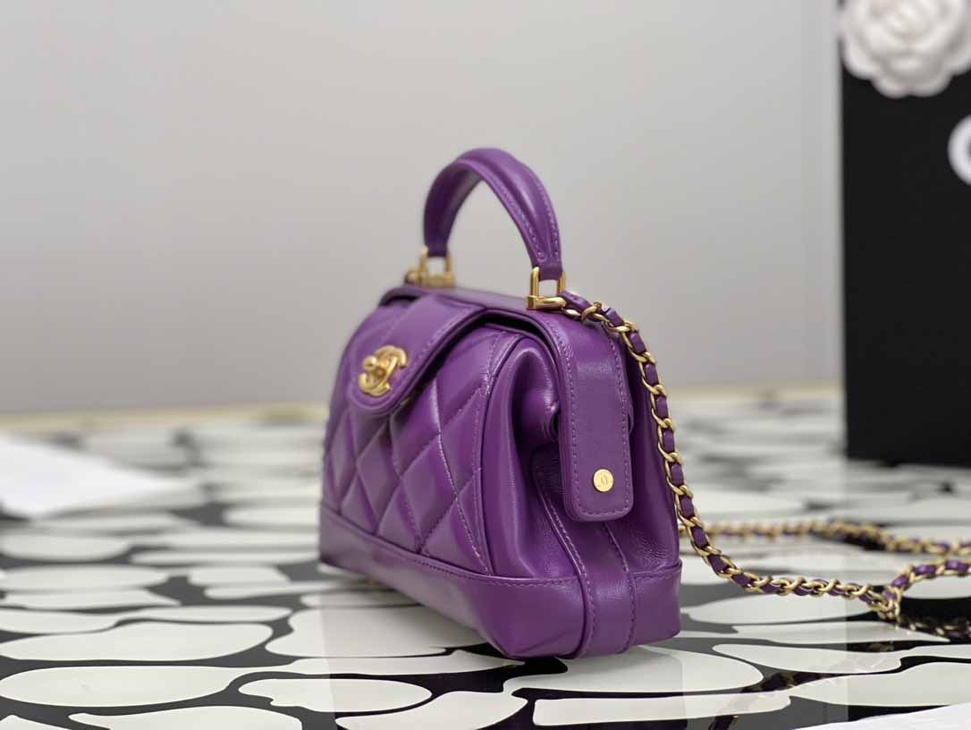 CHANEL AP99371 LADY'S BAG