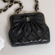 CHANEL AP99377 LADY'S BAG