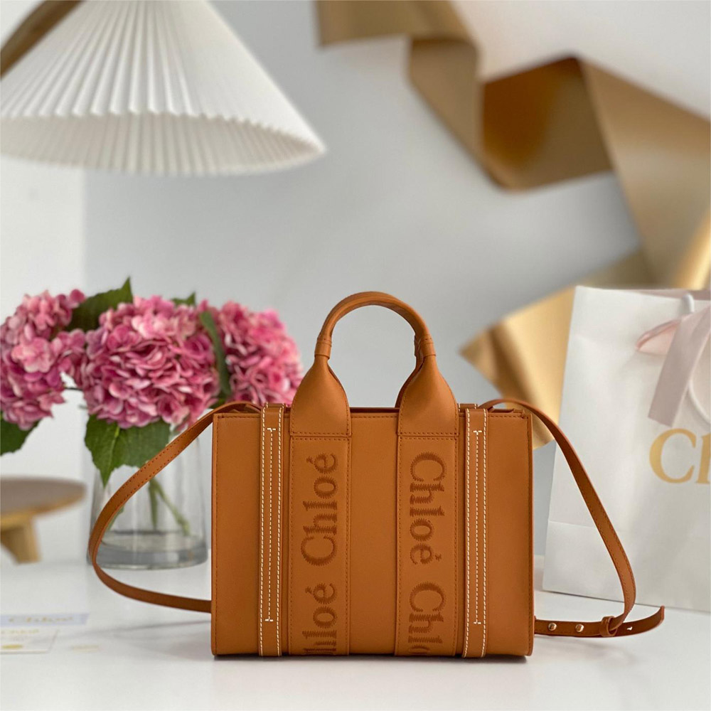 CHLOÉ CE5001-BROWN LADY'S BAG