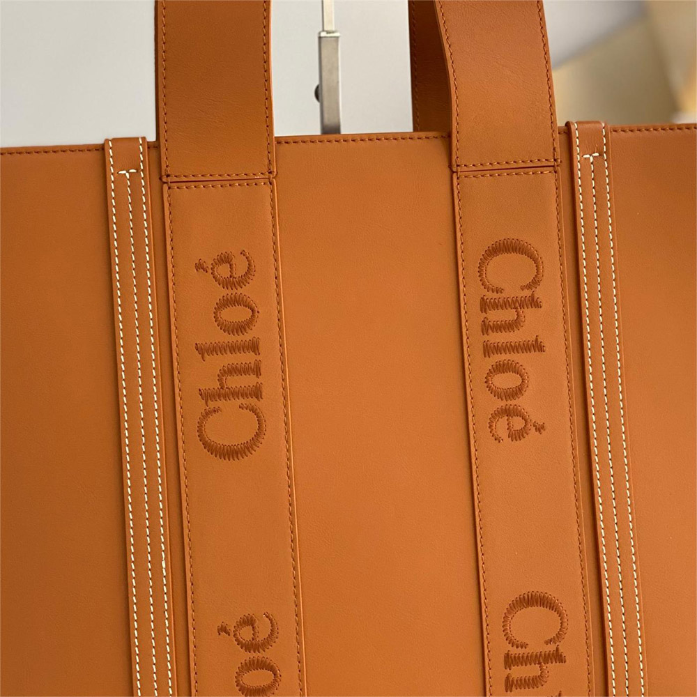 CHLOÉ CE5001-BROWN LADY'S BAG