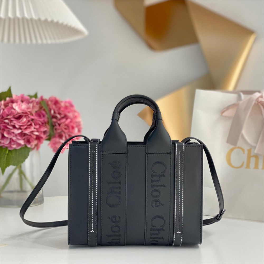 CHLOÉ CE5001-BLACK LADY'S BAG