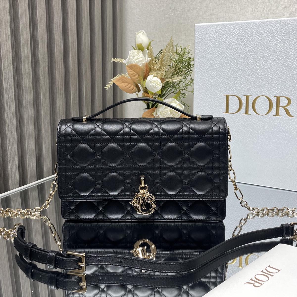 Dior DR0810 LADY'S BAG