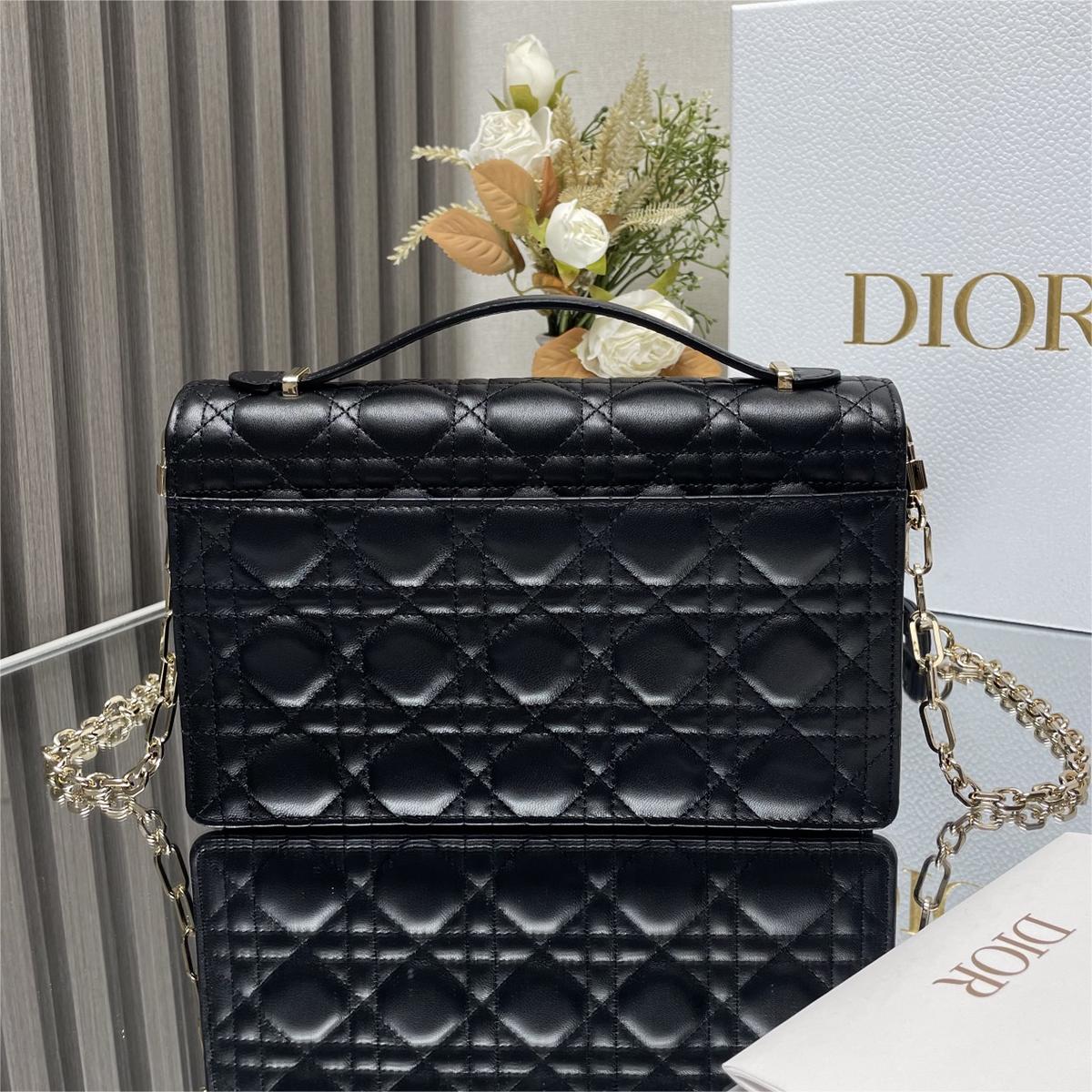 Dior DR0810 LADY'S BAG