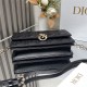 Dior DR0810 LADY'S BAG