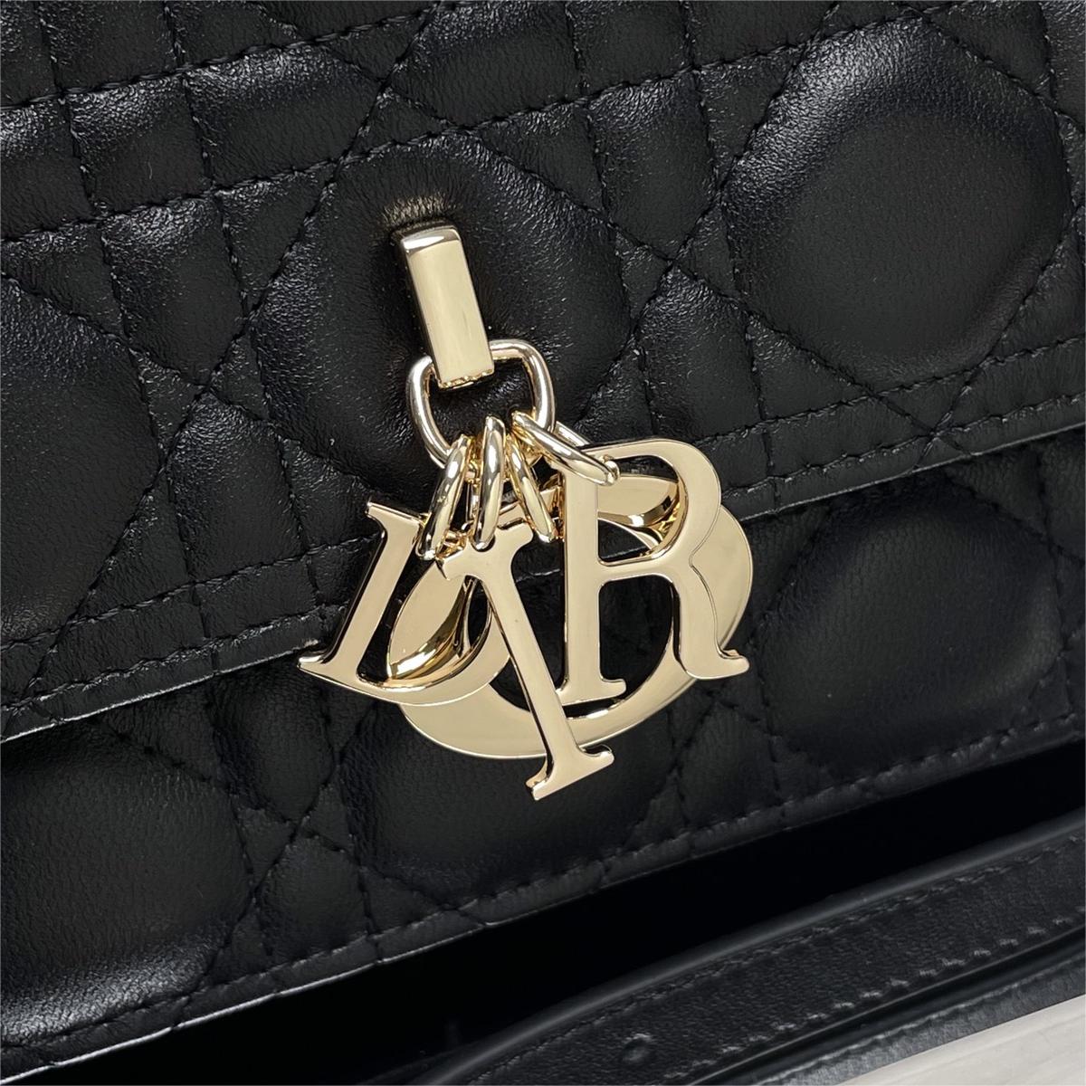 Dior DR0810 LADY'S BAG