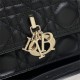 Dior DR0810 LADY'S BAG