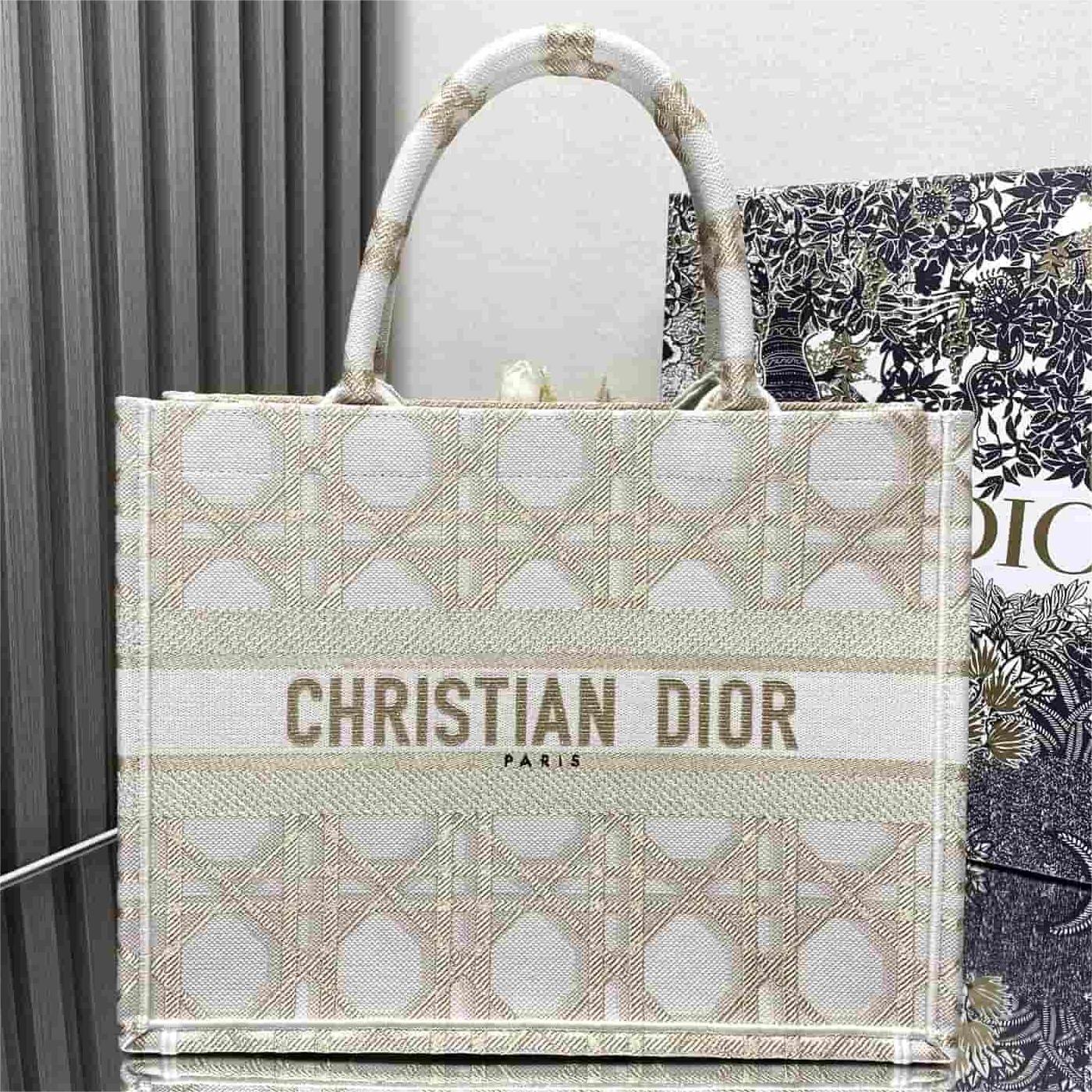 Dior DR1286-1 LADY'S BAG