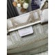 Dior DR1286-1 LADY'S BAG