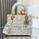 Dior DR1286-2 LADY'S BAG