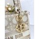 Dior DR1286-2 LADY'S BAG