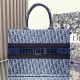 Dior DR1286 LADY'S BAG