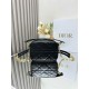 Dior DR3352 LADY'S BAG