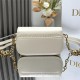 Dior DR9017 LADY'S BAG