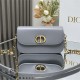 Dior DR9017 LADY'S BAG