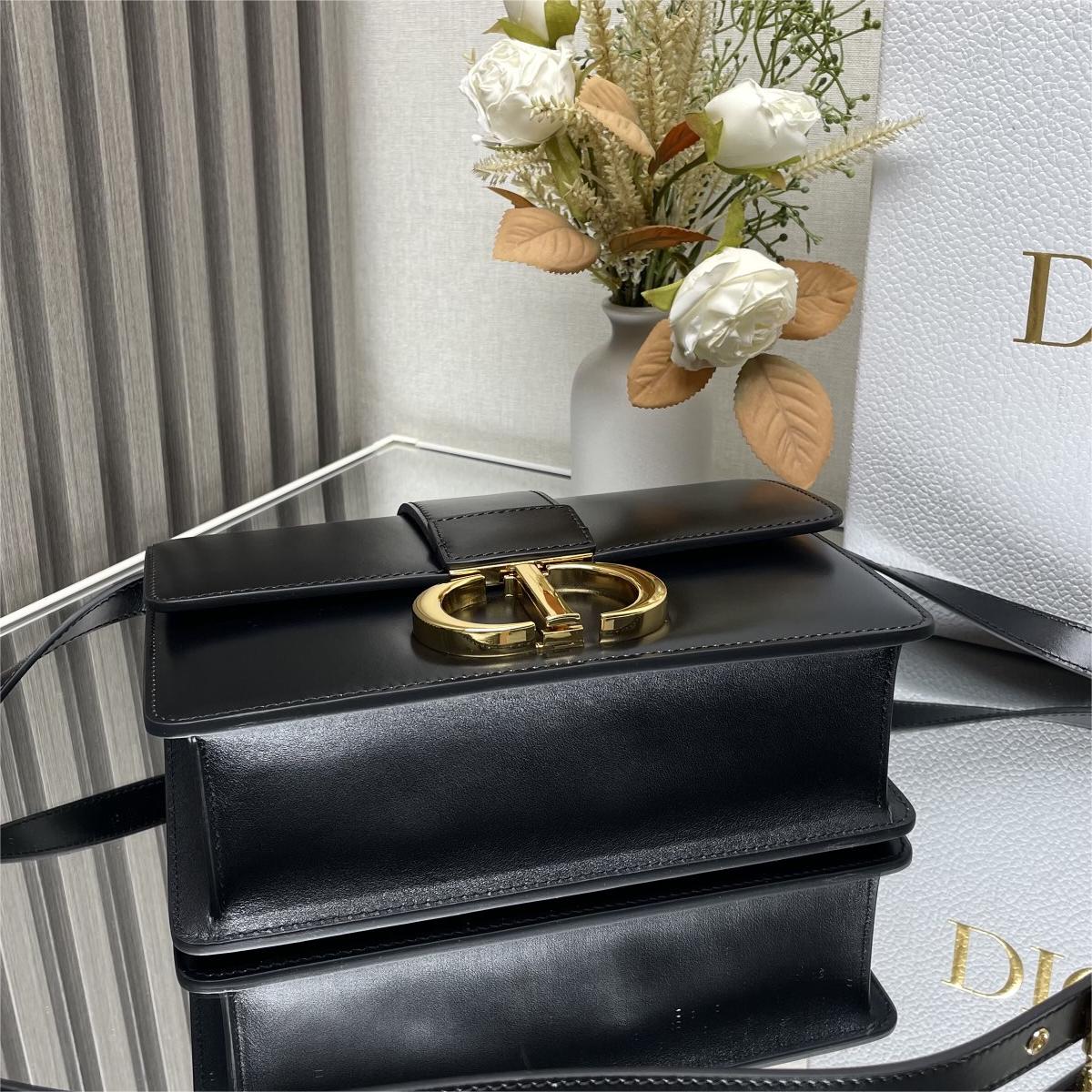 Dior DR9203 LADY'S BAG