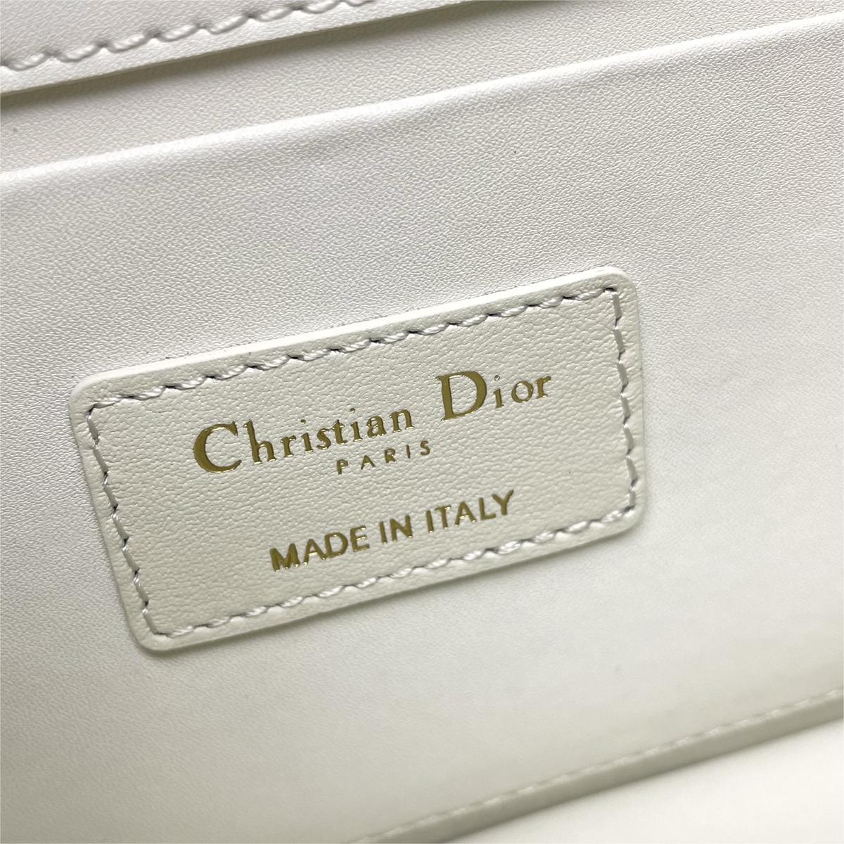 Dior DR9207 LADY'S BAG