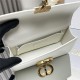 Dior DR9207 LADY'S BAG