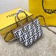 FENDI FI9901 LADY'S BAG