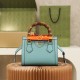 GUCCI GP665661 GP660195 LADY'S BAG