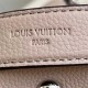 LOUIS VUITTON M12139 LADY'S BAG