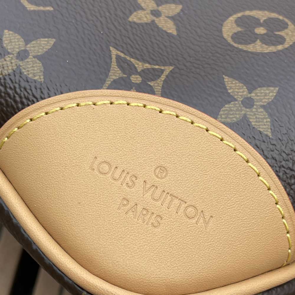 LOUIS VUITTON M45832 LADY'S BAG