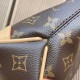 LOUIS VUITTON M45832 LADY'S BAG